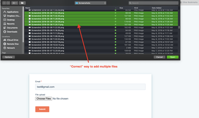 Correct_Add_Multiple_Files_to_Form.png